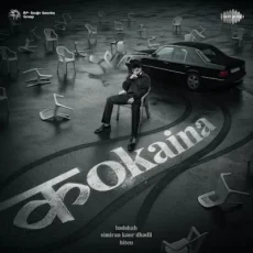 Kokaina Kokaina