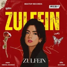 Zulfein
