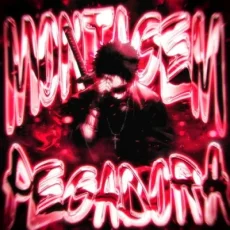 MONTAGEM PEGADORA (Slowed)