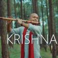 Krishna Theme