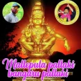 Mallepula Pallaki Bangaru Pallaki Ayyappa