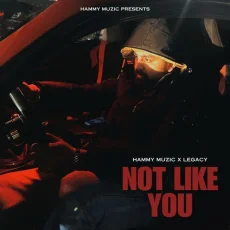 Not Like You Not Like You