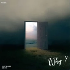 Why - Katil Adaavan Ne Why - Katil Adaavan Ne