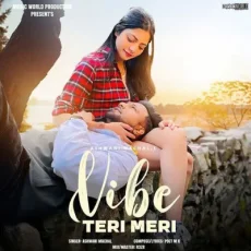 Vibe Teri Meri Vibe Teri Meri